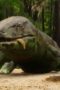 Nonton Film Life on Our Planet Season 1 Episode 1 Terbaru Nonton Film Life on Our Planet Season 1 Episode 1 Terbaru