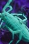 Nonton Film Alien Worlds Season 1 Episode 2 Terbaru