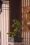 Nonton Film Sword and Fairy 4 Season 1 Episode 11 Terbaru