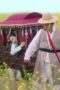 Nonton Film Queen For Seven Days Season 1 Episode 2 Terbaru