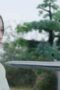 Nonton Film Snow Eagle Lord Season 1 Episode 29 Terbaru Nonton Film Snow Eagle Lord Season 1 Episode 29 Terbaru