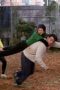 Nonton Film Friends Season 3 Episode 9 Terbaru Nonton Film Friends Season 3 Episode 9 Terbaru
