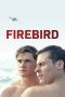 Nonton Film Firebird (2021) Terbaru Nonton Film Firebird (2021) Terbaru