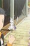 Nonton Film Re:ZERO -Starting Life in Another World- Season 1 Episode 1 Terbaru Nonton Film Re:ZERO -Starting Life in Another World- Season 1 Episode 1 Terbaru