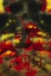 Nonton Film Bleach Season 1 Episode 299 Terbaru