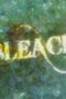 Nonton Film Bleach Season 1 Episode 335 Terbaru