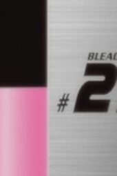 Nonton Film Bleach Season 1 Episode 259 Terbaru